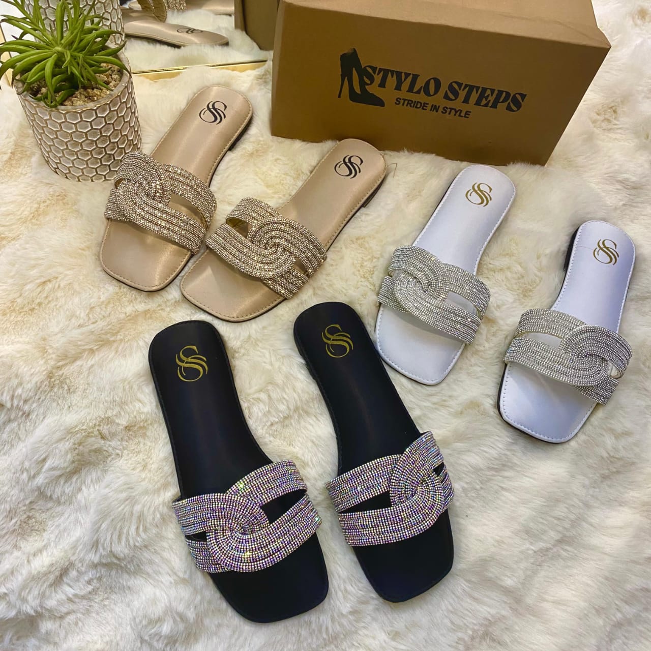 Dazzle Walk Flat