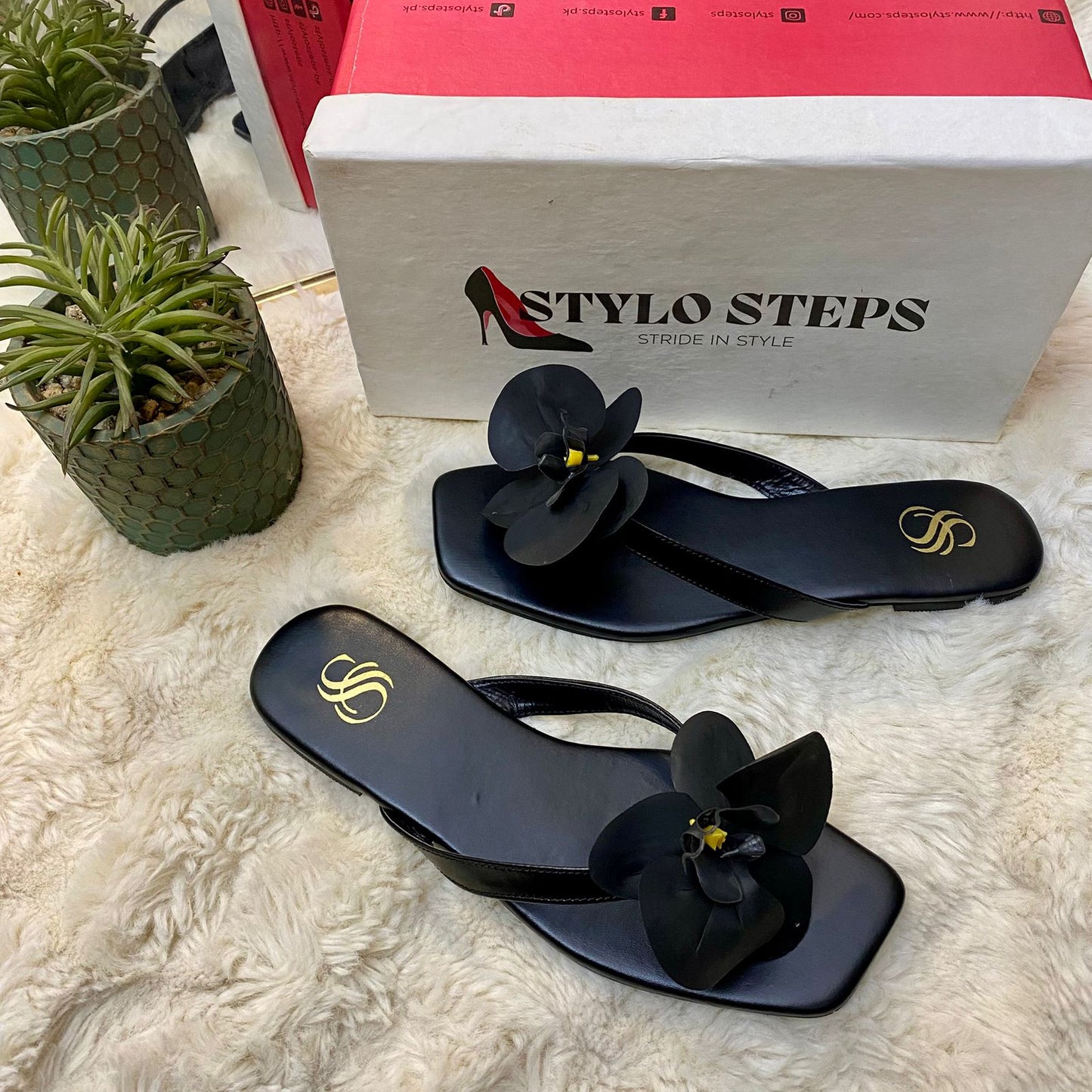 Black Orchid Patel Slides